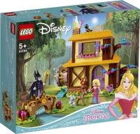 43188 Disney Princess Aurora's boshut